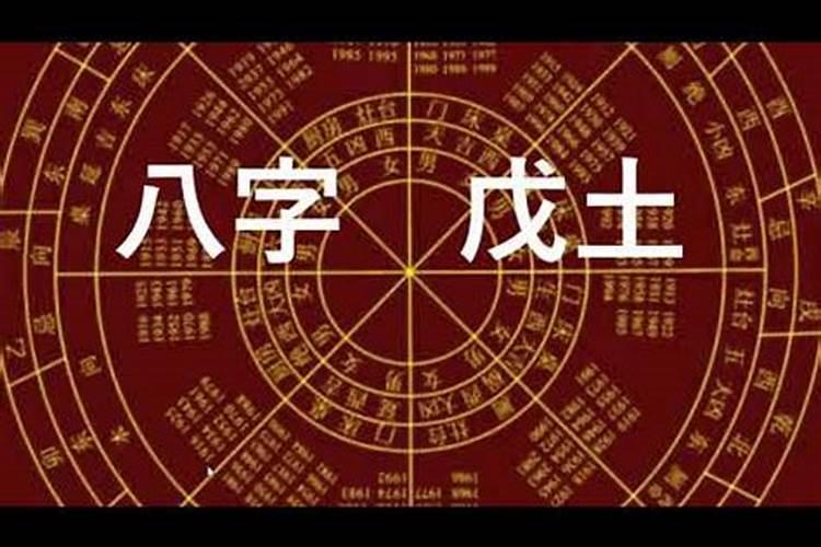 清风两袖是什么生肖