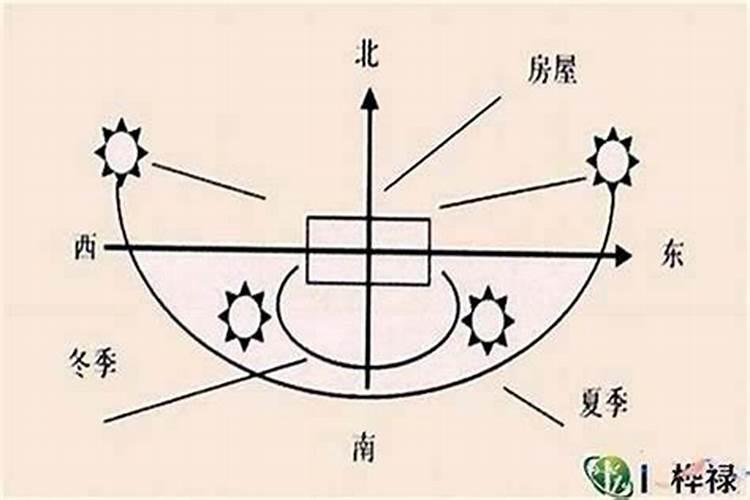 属兔门朝西好不好