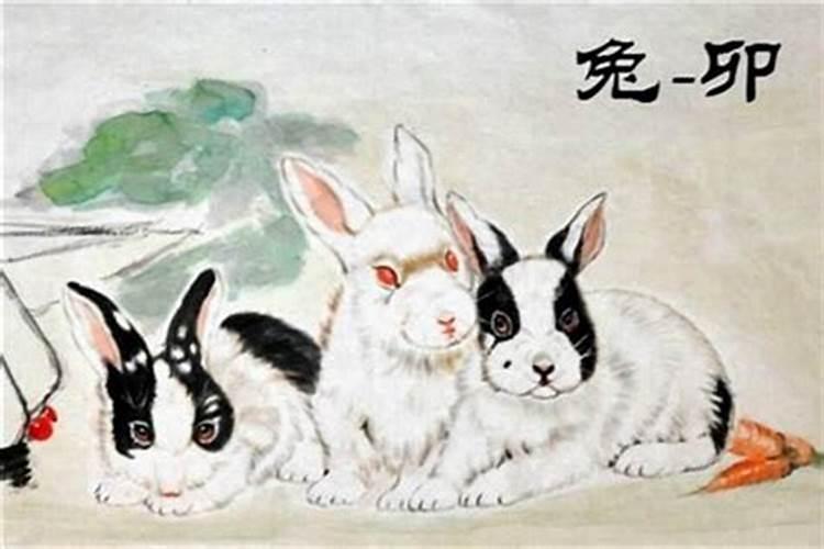 1987年属兔的农历十七出生