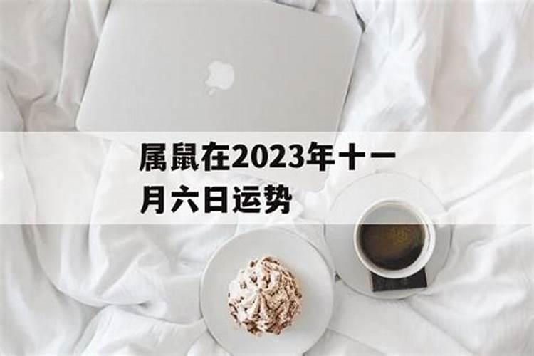 属鼠十一月运势2021运程