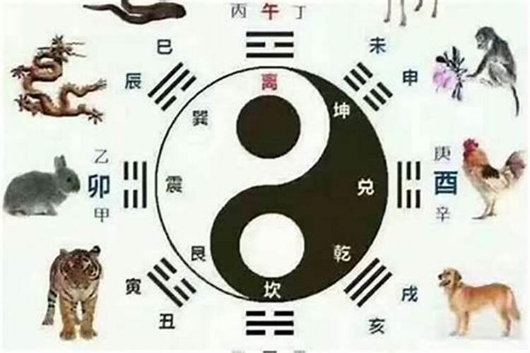 慧这个字五行属什么