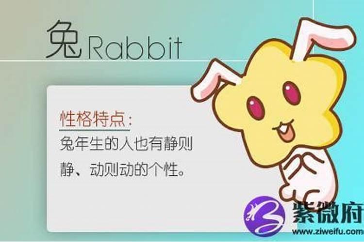 彭于晏的属相是什么