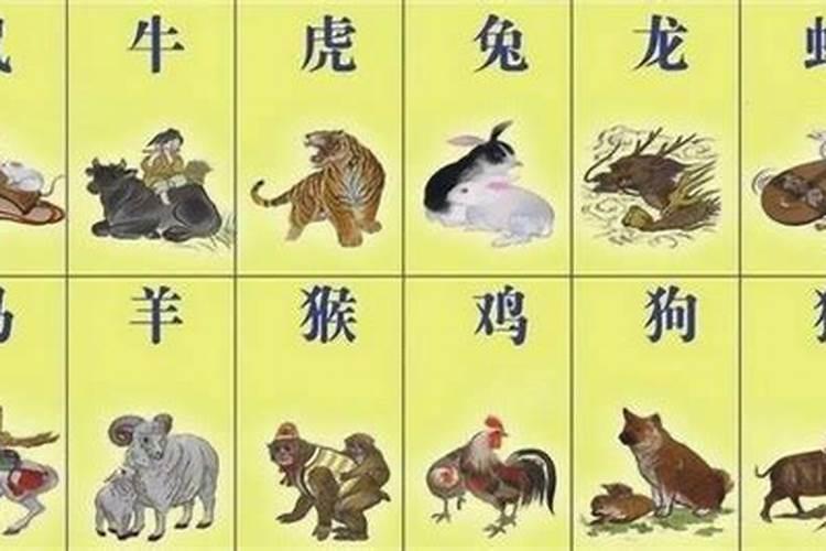 独字生肖是什么生肖