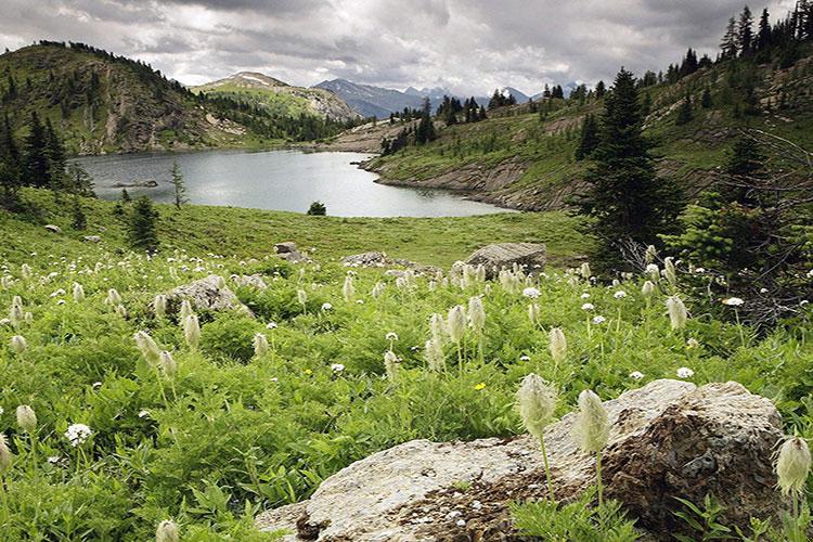 梦见山顶上发大水我拼命跑