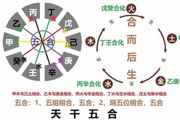 朋字五行属什么属