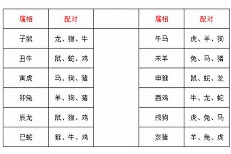 龙配对属相婚配表