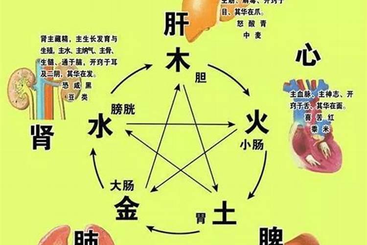 五行口诀断五脏之病