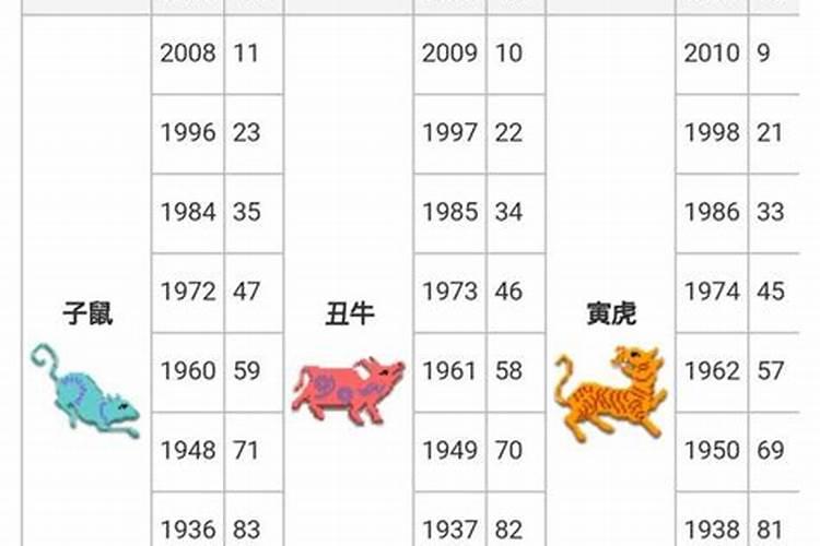 2022属蛇的年龄表