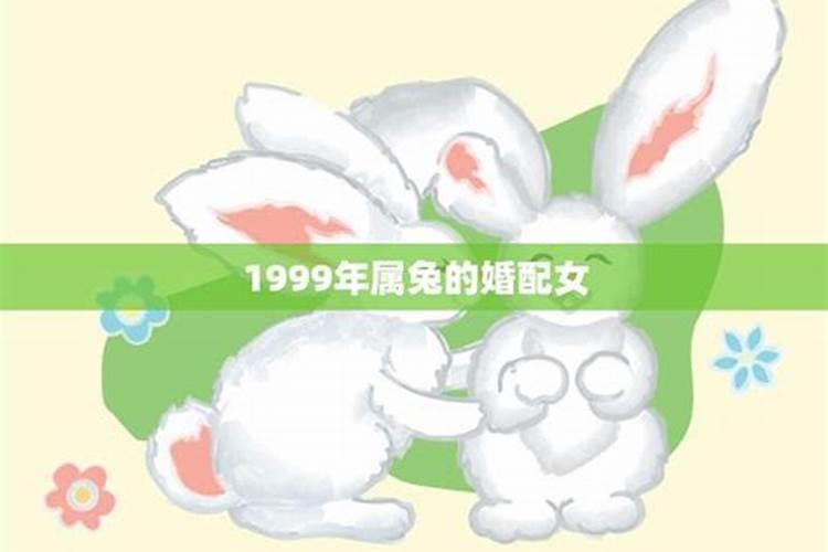 1999年属兔子的婚姻