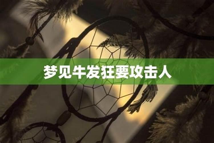 梦到牛攻击自己爬到树上