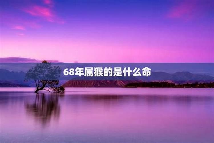 51岁属什么生肖