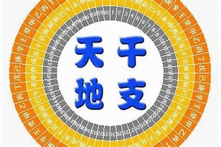 大运主要看地支吗