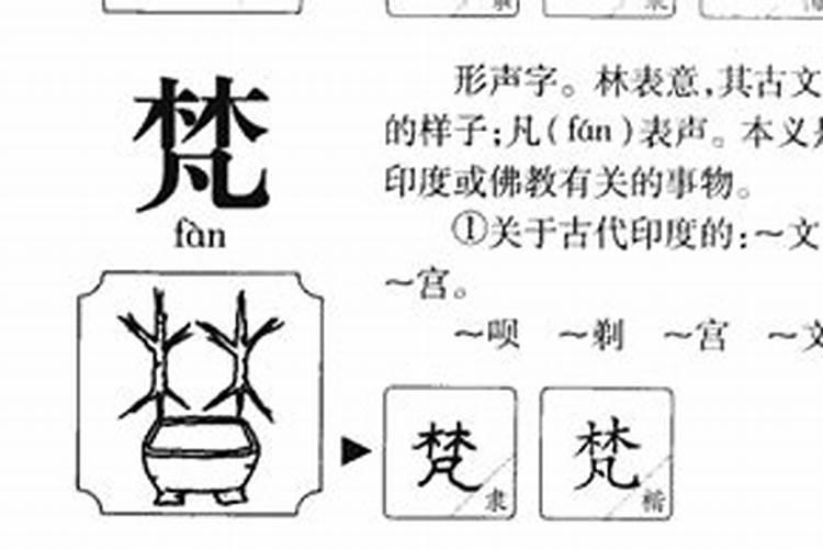 梵五行属什么