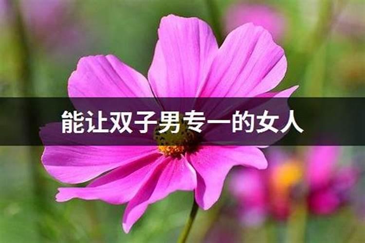 两个双子座结婚会如何