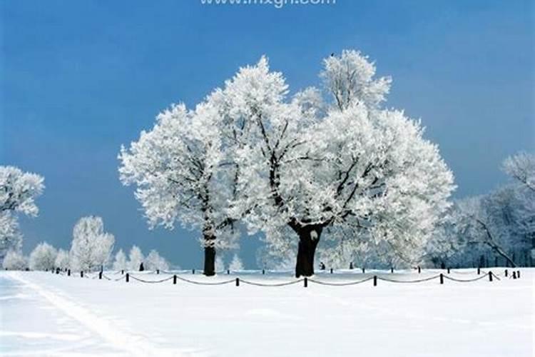 梦见很漂亮的雪景是什么意思