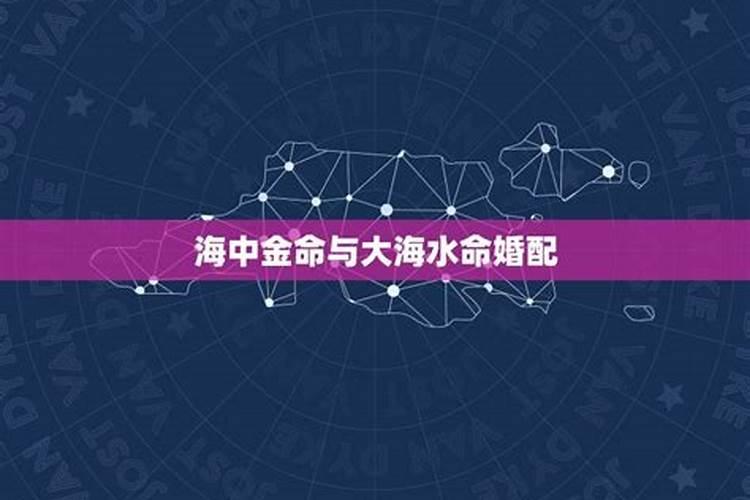 大海水命和海中金命合不合