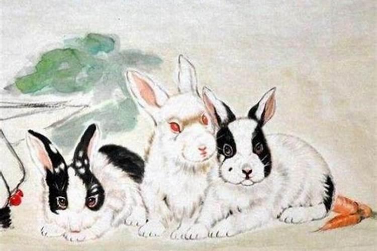 属兔的本命年是什么时候出生的