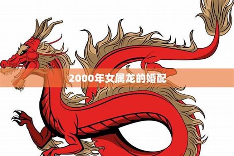 2000年的属什么