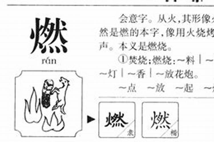 怡五行属性是什么