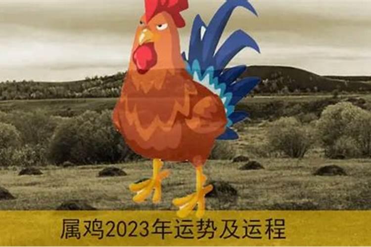 2021年属鸡男的桃花运