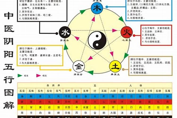 阴阳五行关系对应表