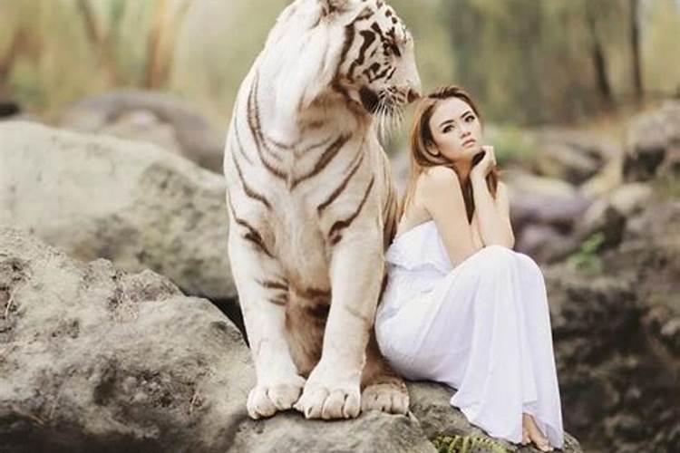 孕妇梦见小老虎是什么预兆女性