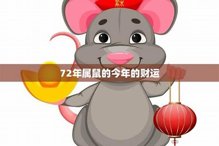 72年的男鼠今年财运怎样