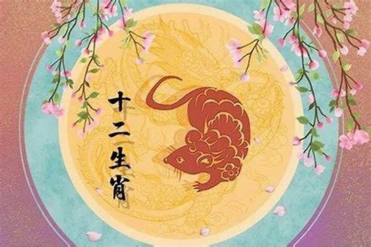 72年的鼠今年运势