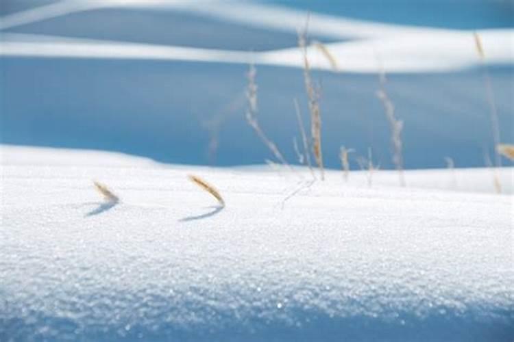 梦见雪融化是什么意思是什么