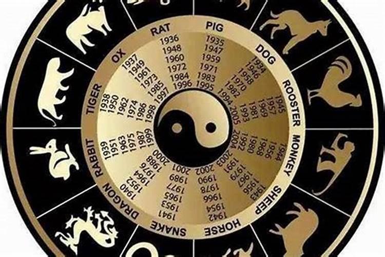 藏代表什么生肖动物
