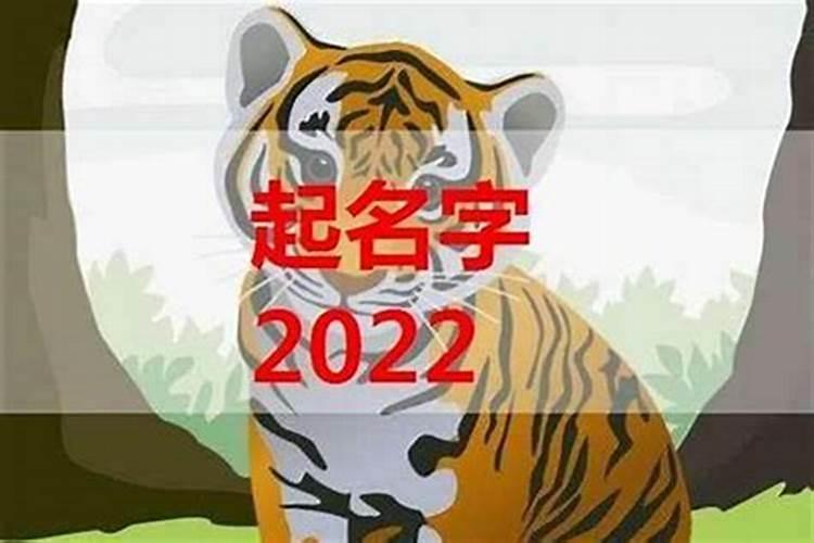 2023年属虎宝宝取名