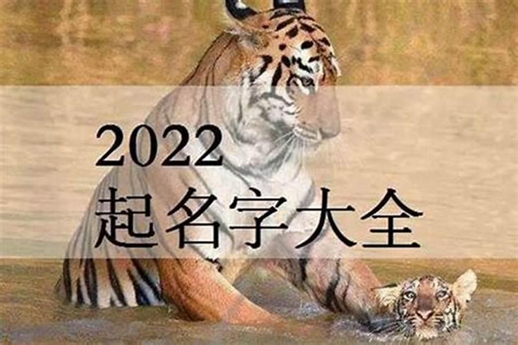 2023属虎的宝宝取名