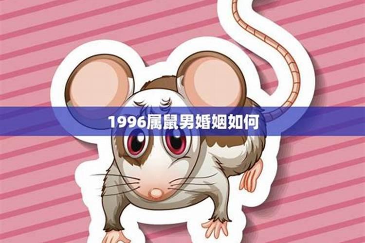 1996年属鼠男的命运