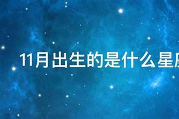 11月份出生的是什么星座