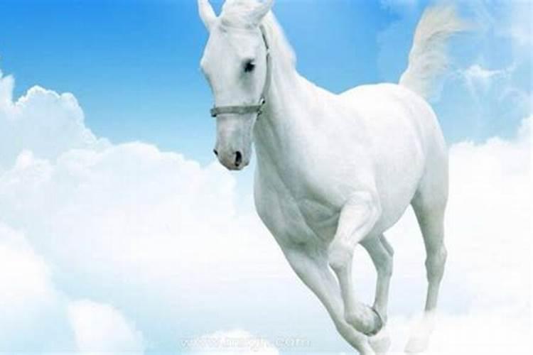 梦到一匹白马是什么征兆