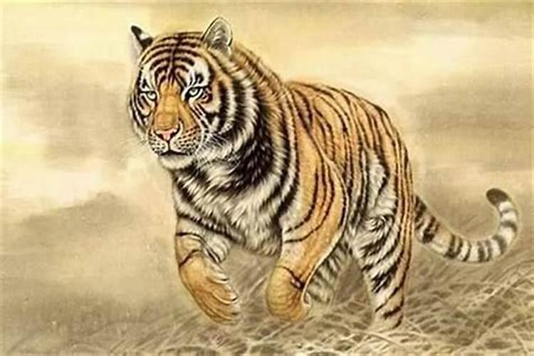 虎的贵人是什么生肖