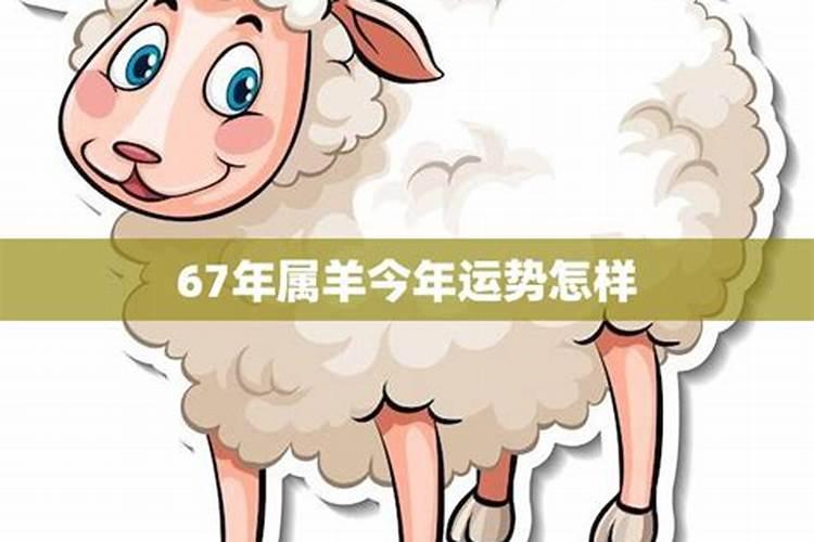 67年属羊的人53岁有一难是真的吗