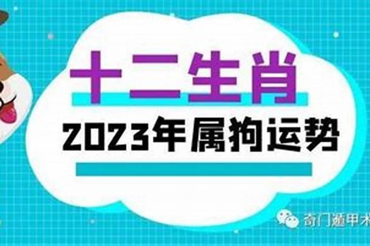 生肖狗2021年运势大全