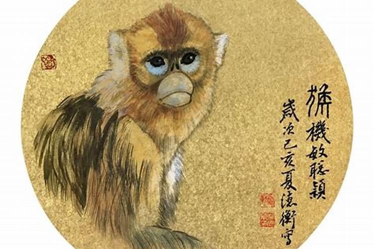 生肖猴将有圆满大喜事吗