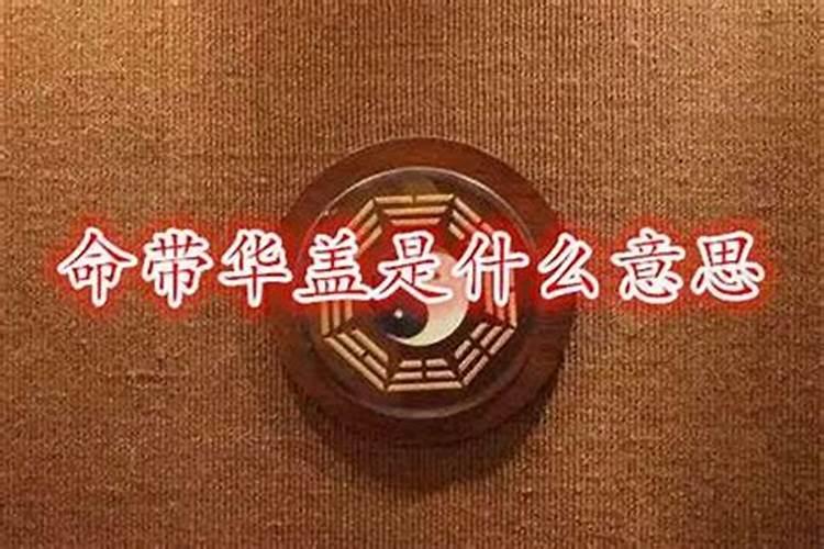 与鸡相冲的属相是什么