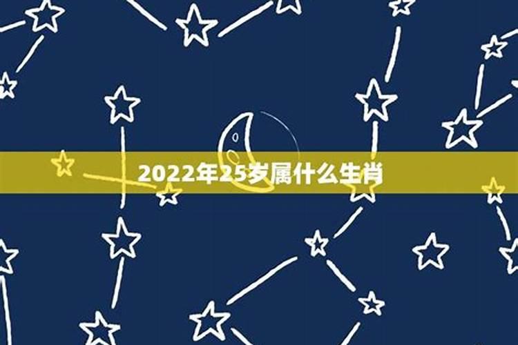 25岁是什么星座