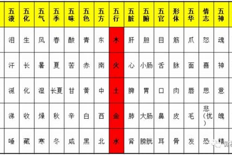 述字五行属什么