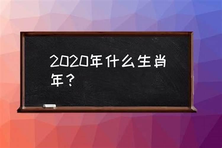 2020年什么生肖