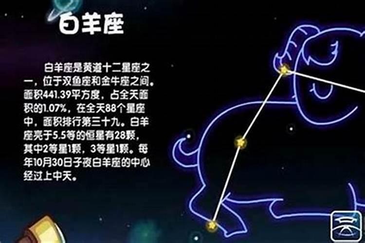 4.1是什么星座