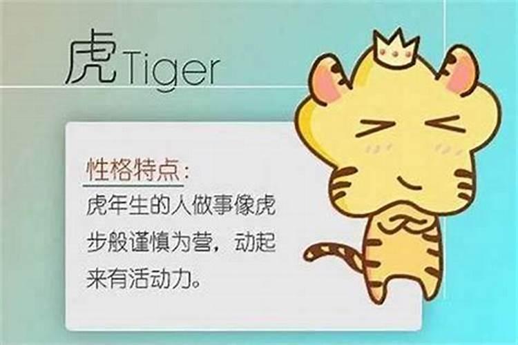 做梦梦到猪是什么寓意