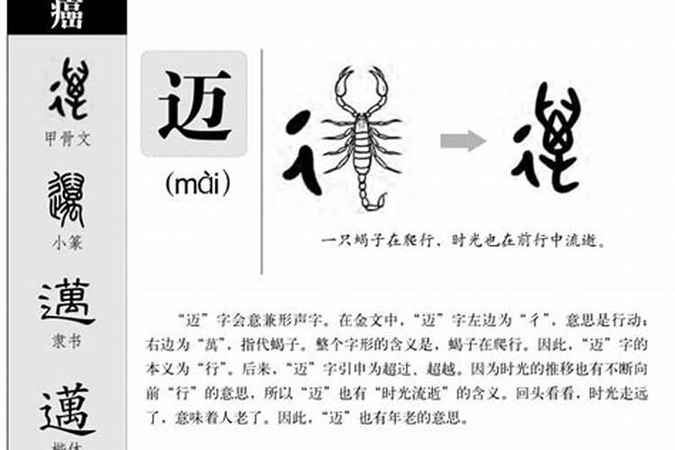 迈字五行属什么