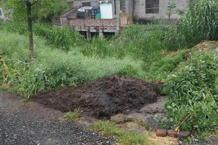 梦到地震房屋倒了,洪水把人冲走了啥意思