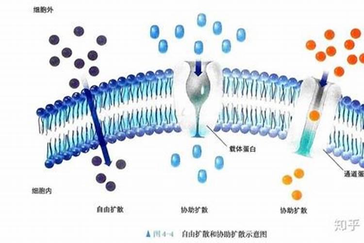 什么时候需要转运