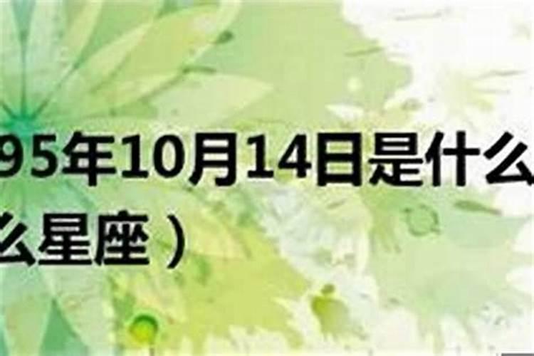 10月8号什么星座