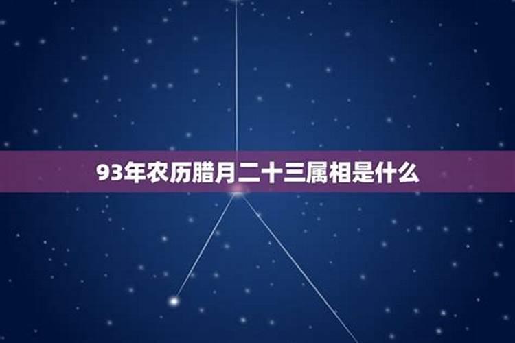 农历十二月初五是什么星座